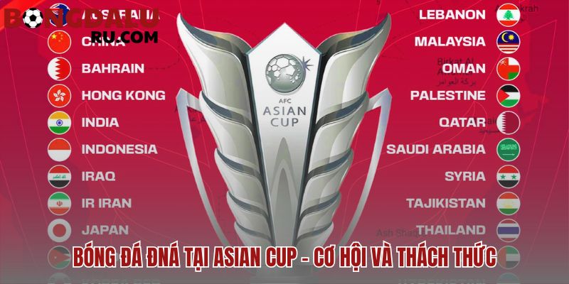 Asian cup: sân chơi đỉnh cao của bóng đá châu á kiểm chứng ĐNÁ